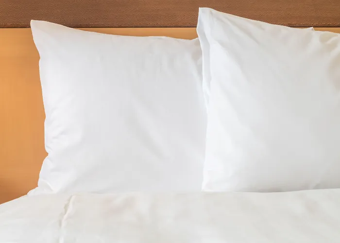 酒店 Indigo - Sant'elena By Ihg 威尼斯